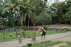 0818 Wildlife Habitat Port Douglas